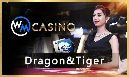 Mobile slot gaming on lodi777 app